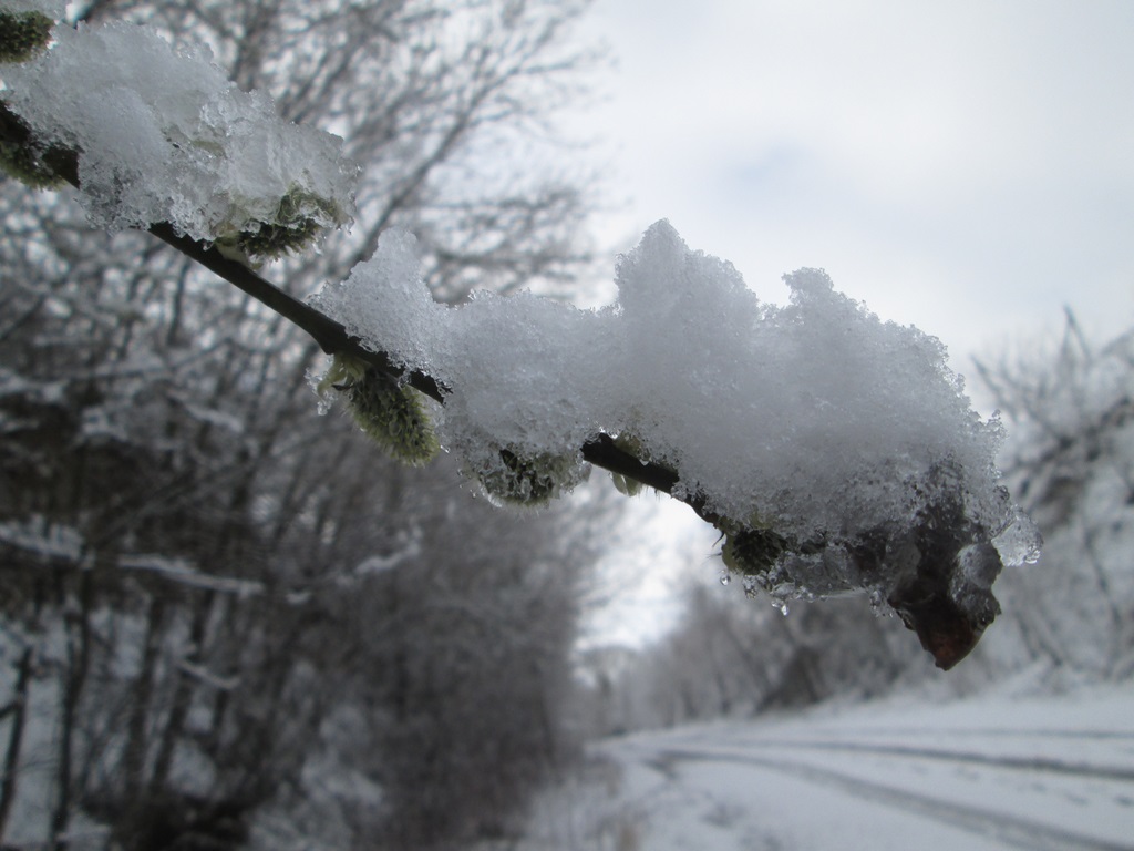 Фото снег весной