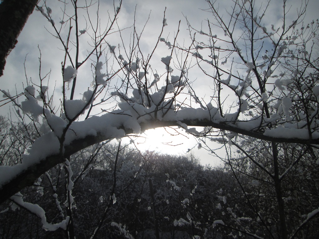 снег весной фото (39)