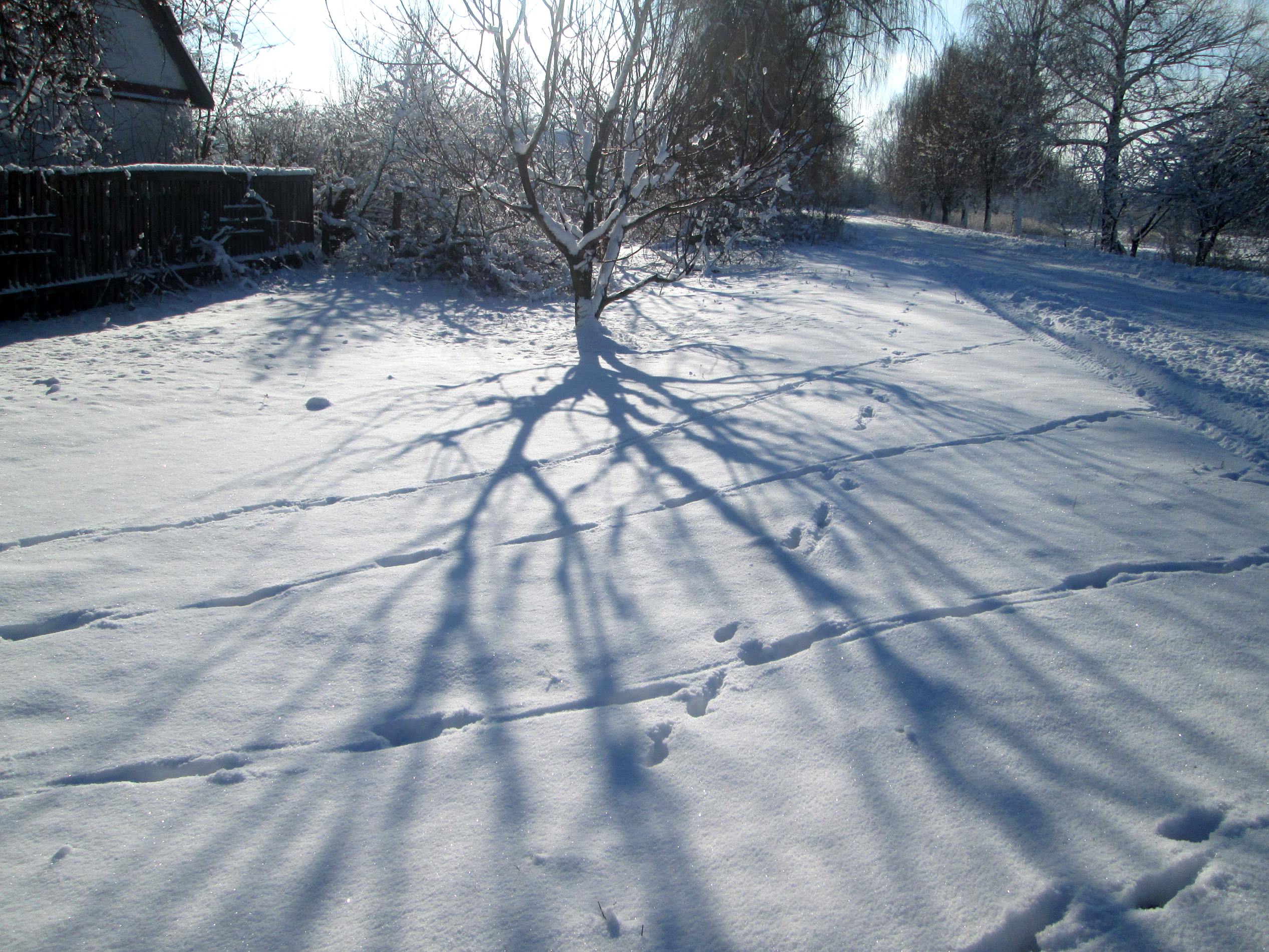 Winter in the village photo