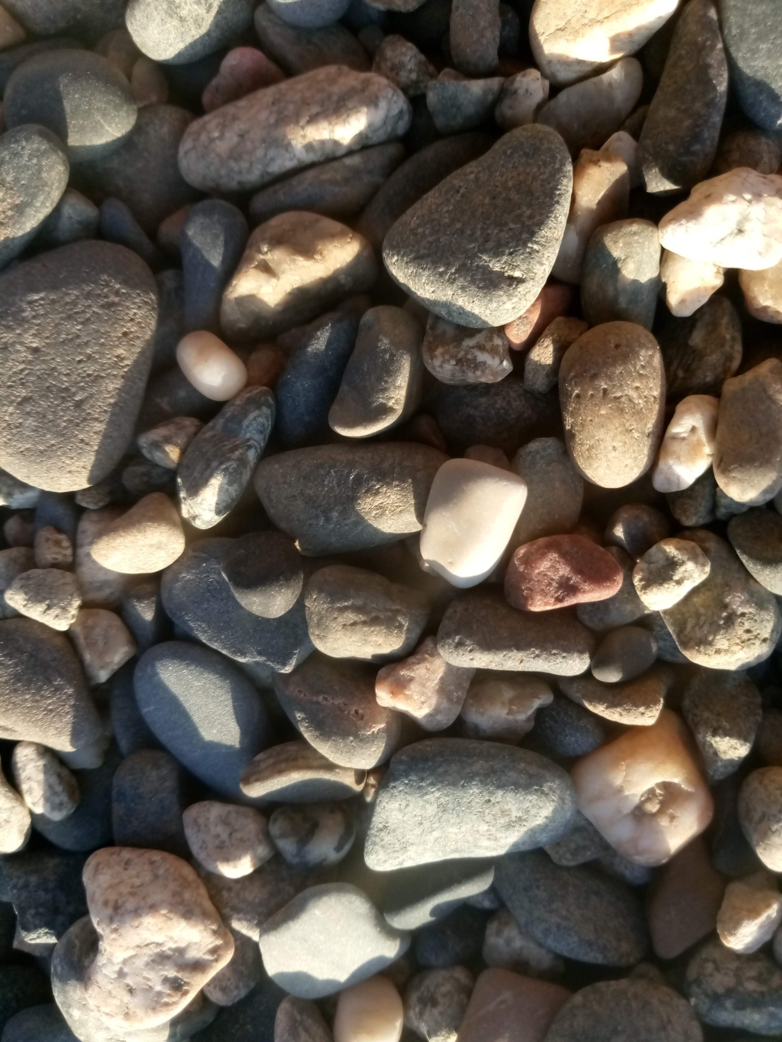  Stones texture - sea stones photo