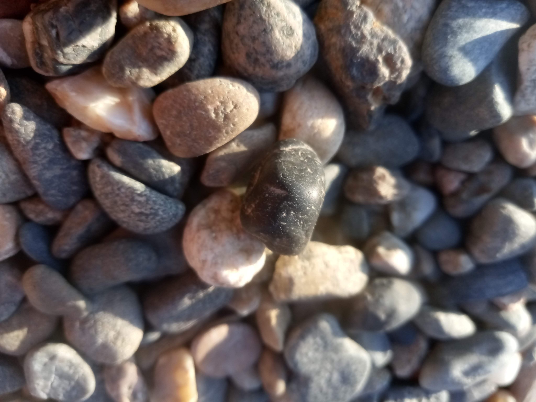 Stones texture - sea stones photo